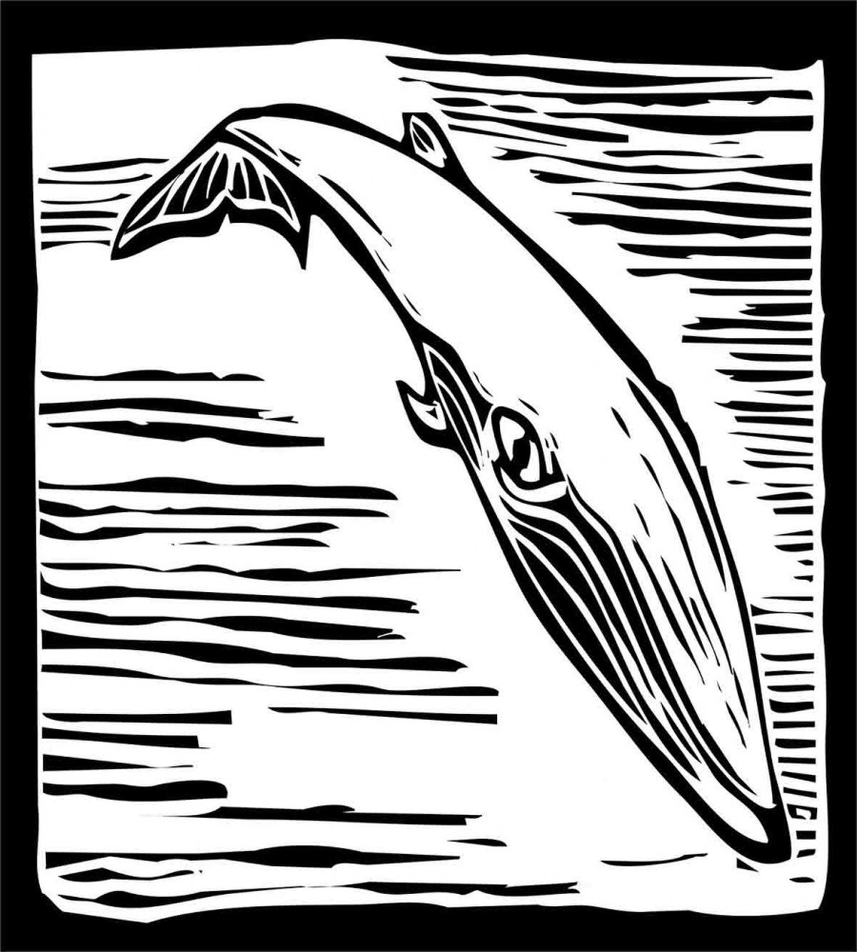 Vintage Style Sea Mammal — Pattern