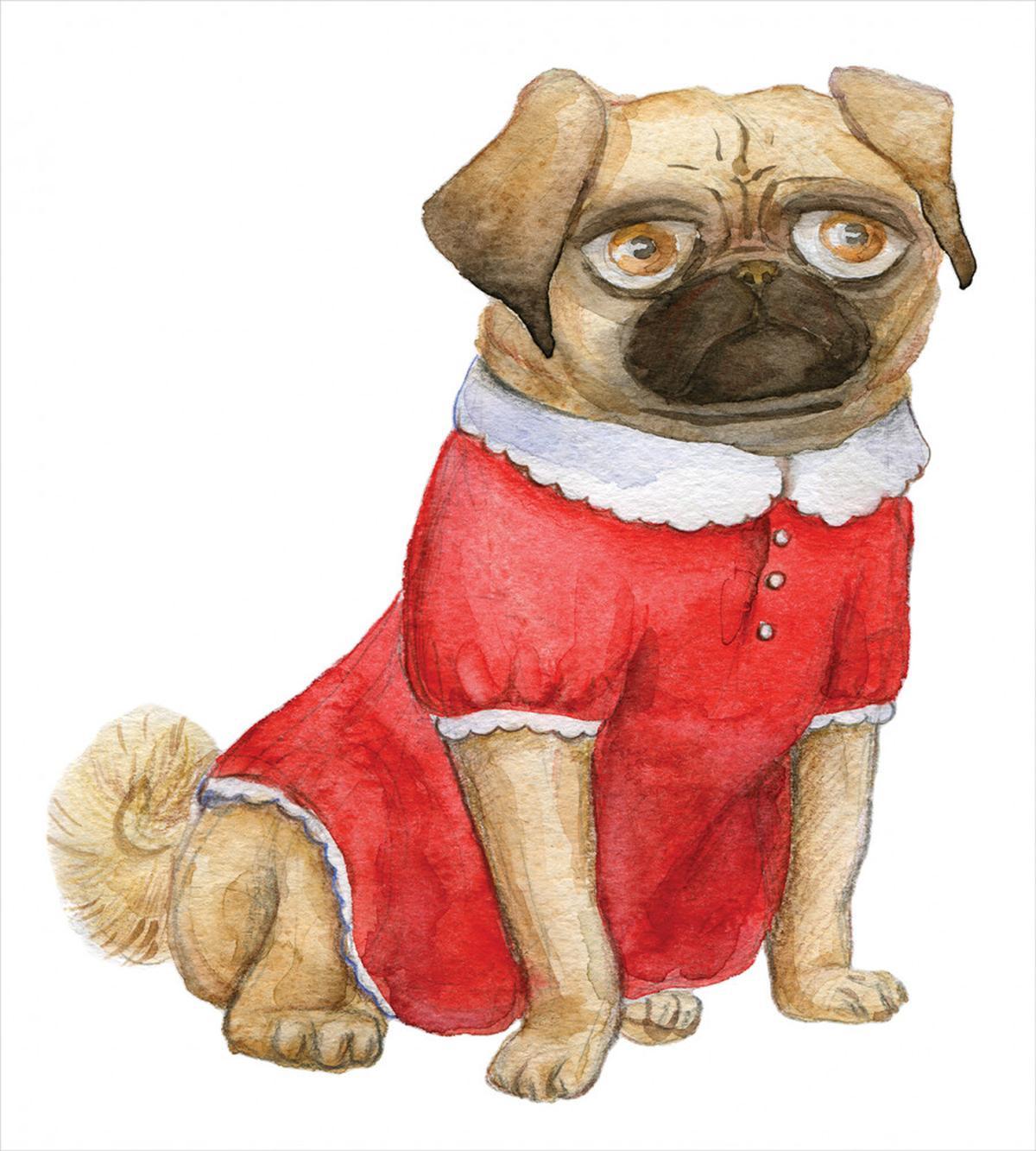 Dog in Red Dress Cartoon — Pattern