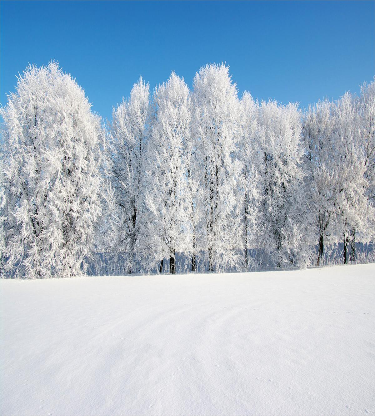 Frozen Trees and Fields — Pattern