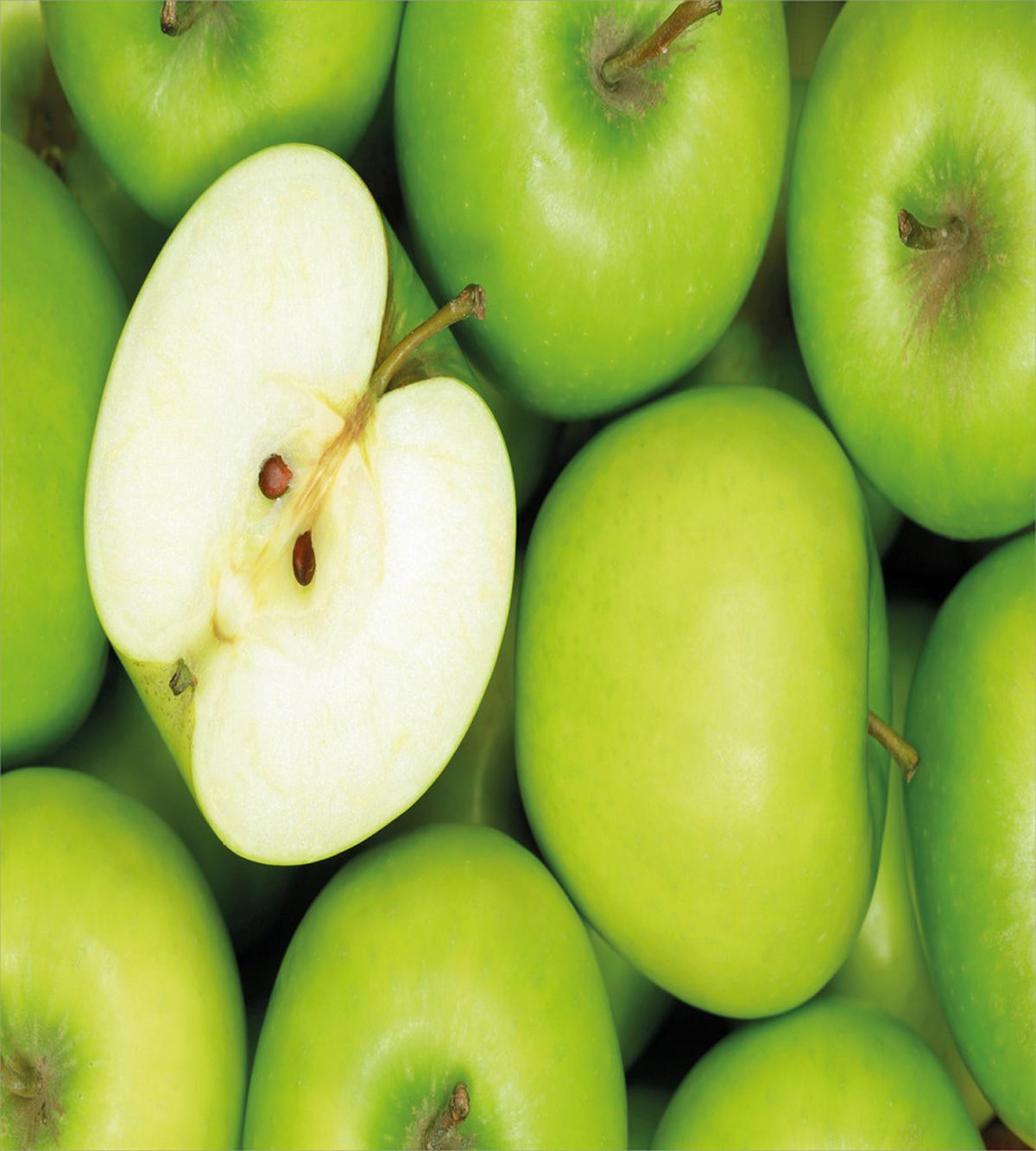 Realistic Healthy Snack — Pattern