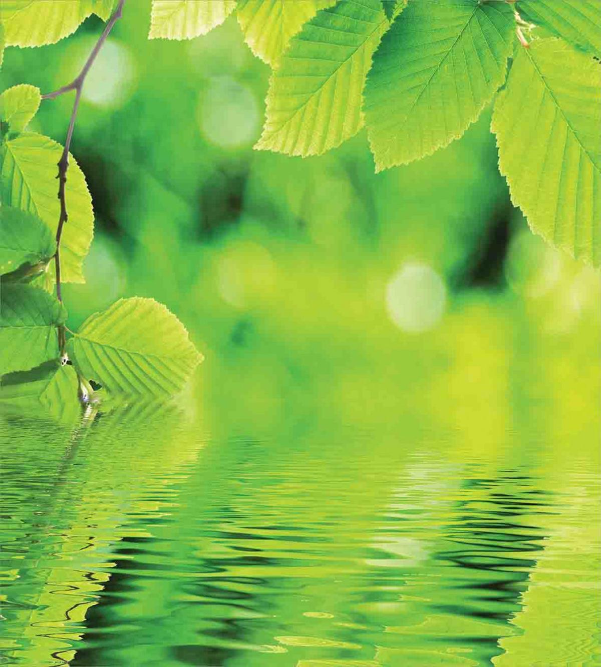 Leaves and River Peace — Pattern