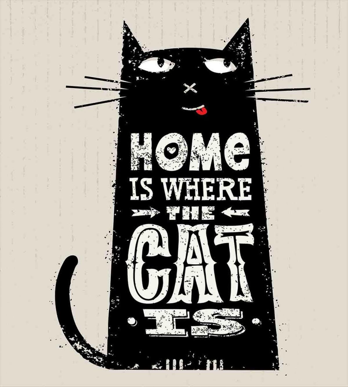 Black Cat Stained — Pattern