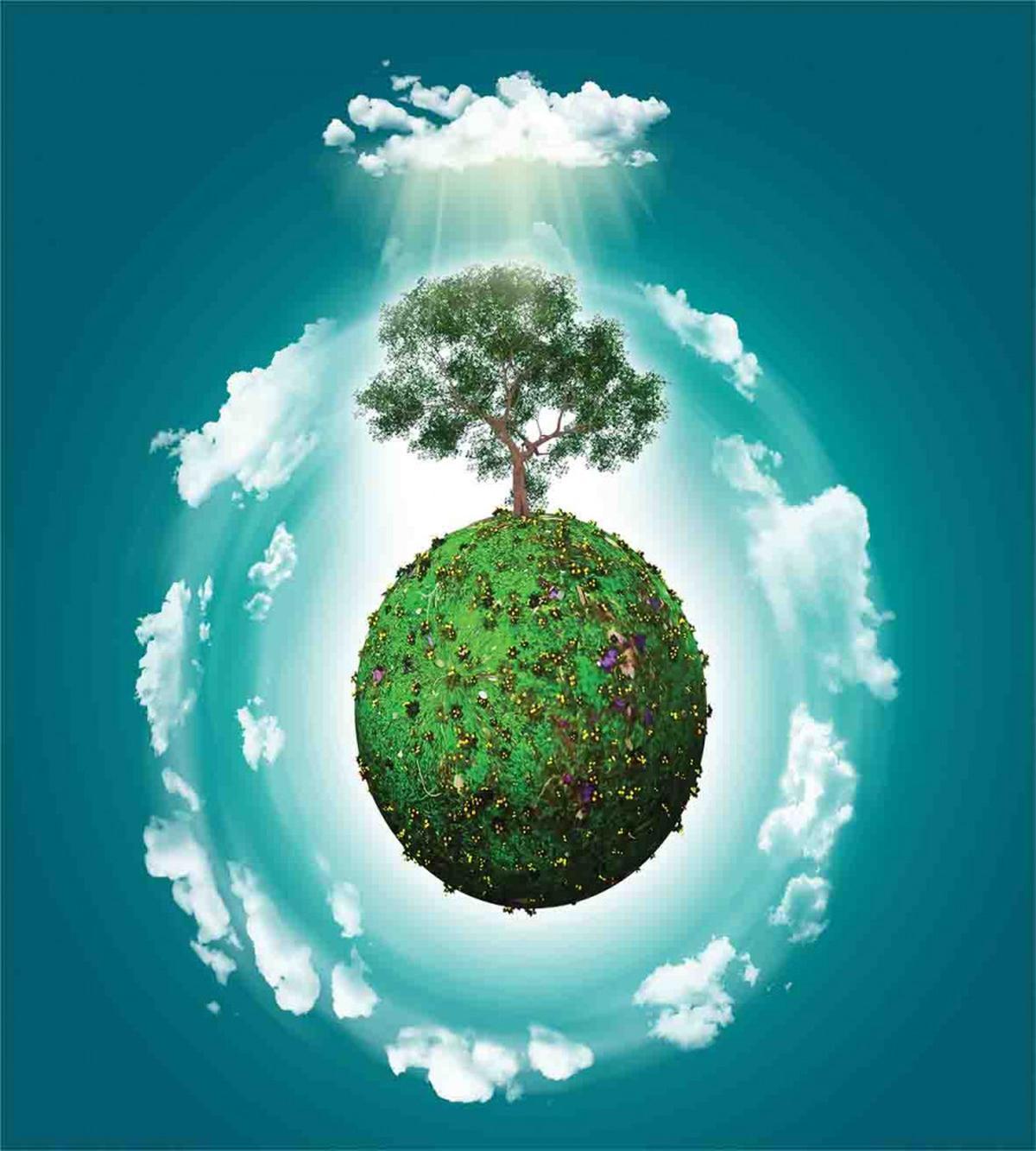 Ecology World Art — Pattern