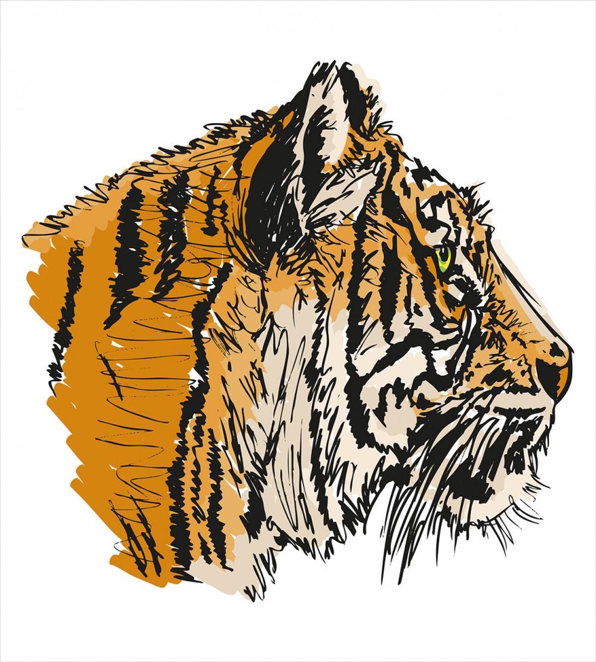 Sketch Bengal Carnivore — Pattern