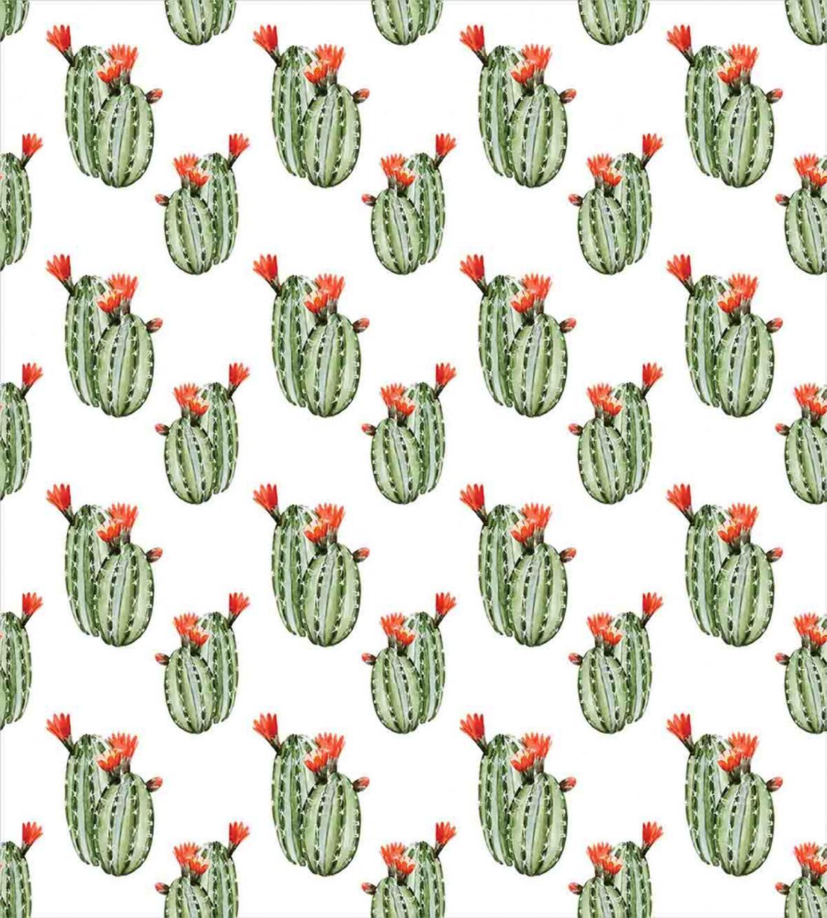 Cactus Plant Desert — Pattern