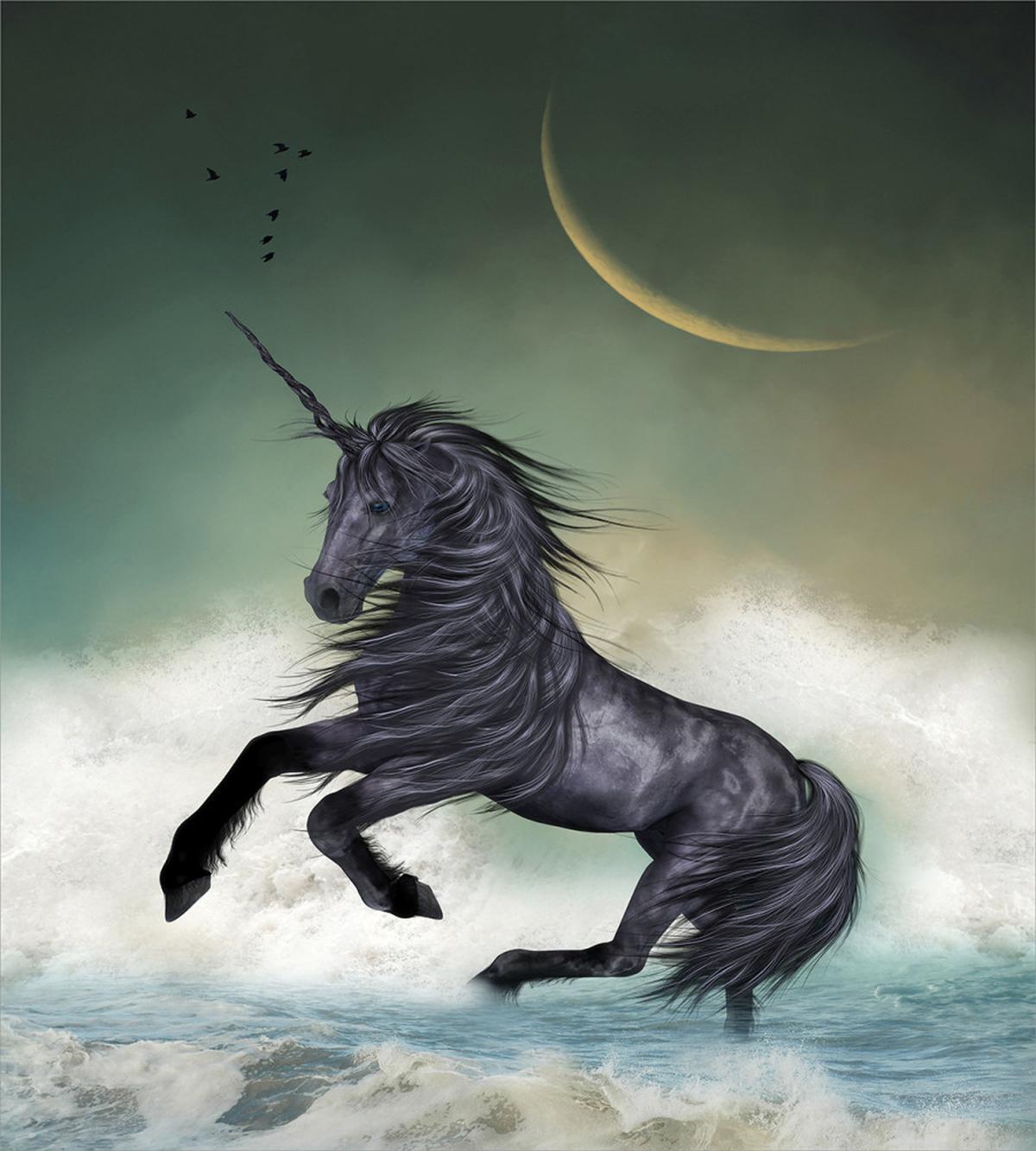 Black Unicorn in Ocean — Pattern