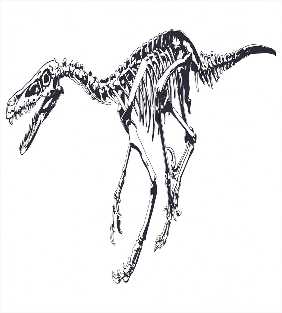 Skeleton Dead Predator — Pattern