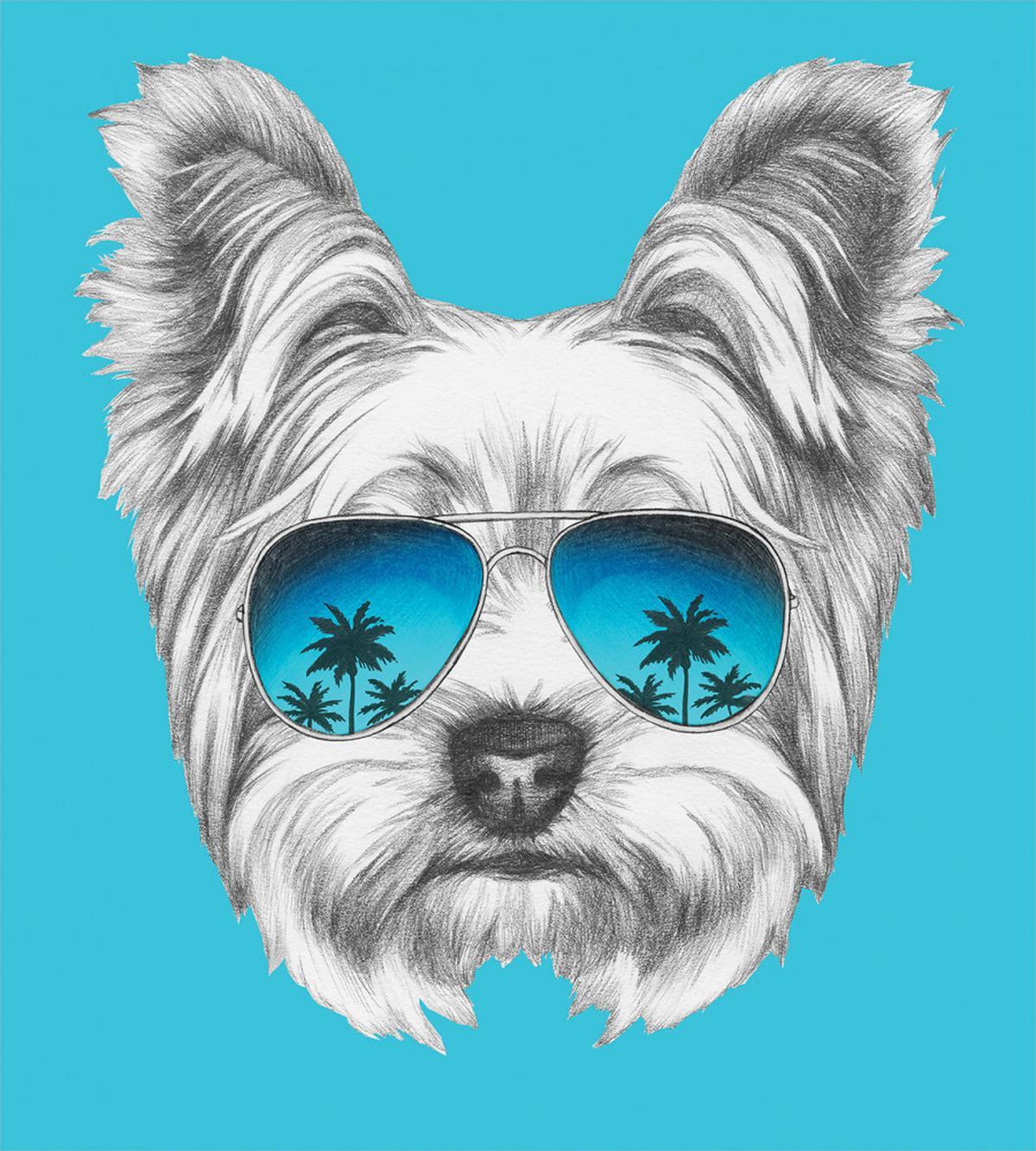 Cool Sunglasses Artwork — Pattern