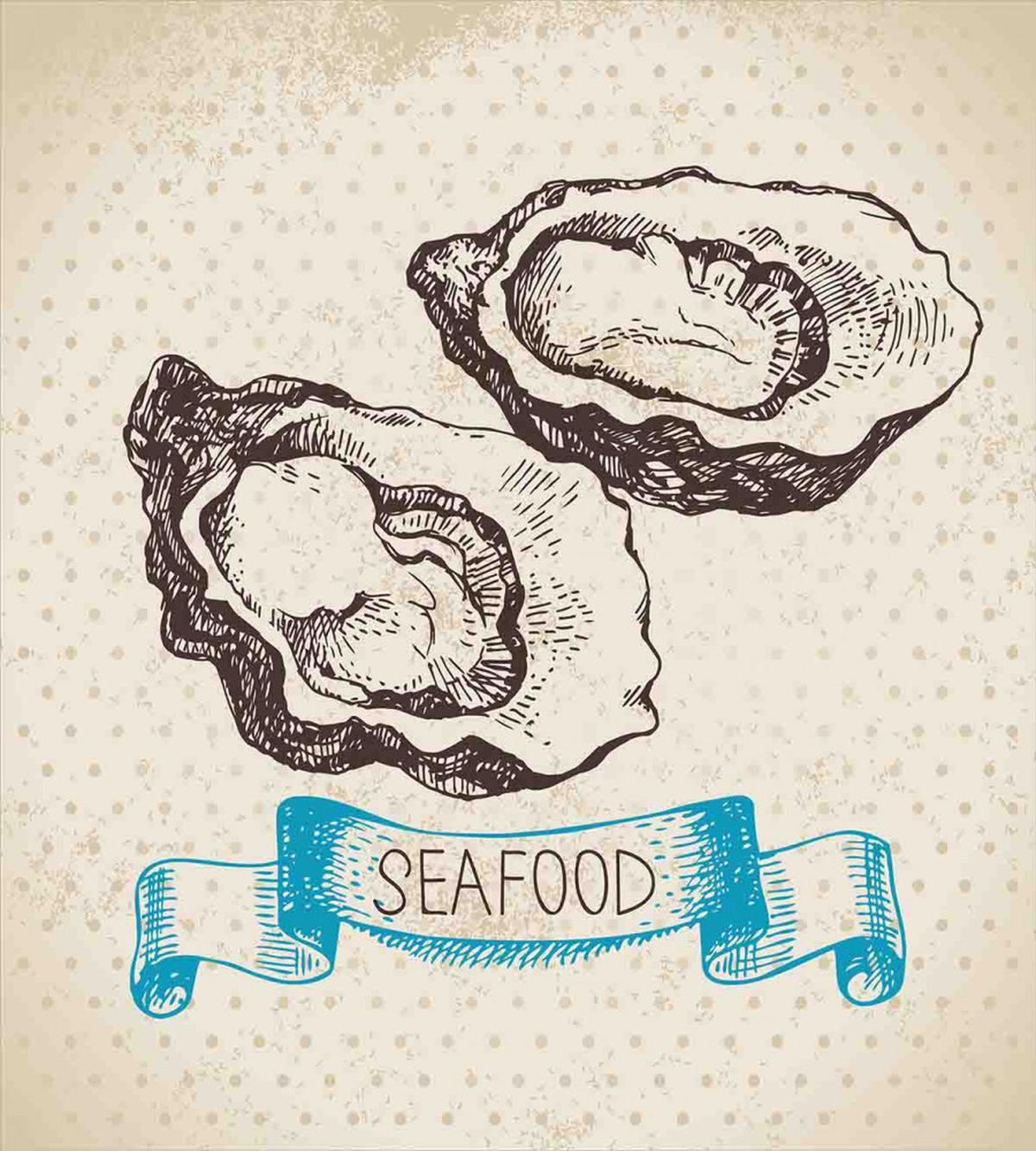 Sketch Virginica Oyster — Pattern