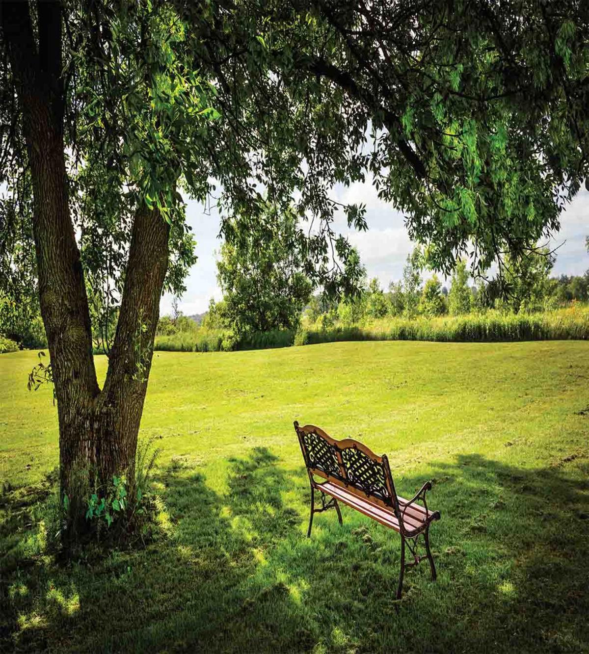 Resting in Nature Yard — Pattern