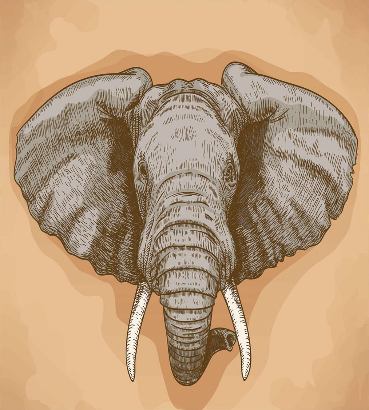 Wild Retro Elephants — Pattern
