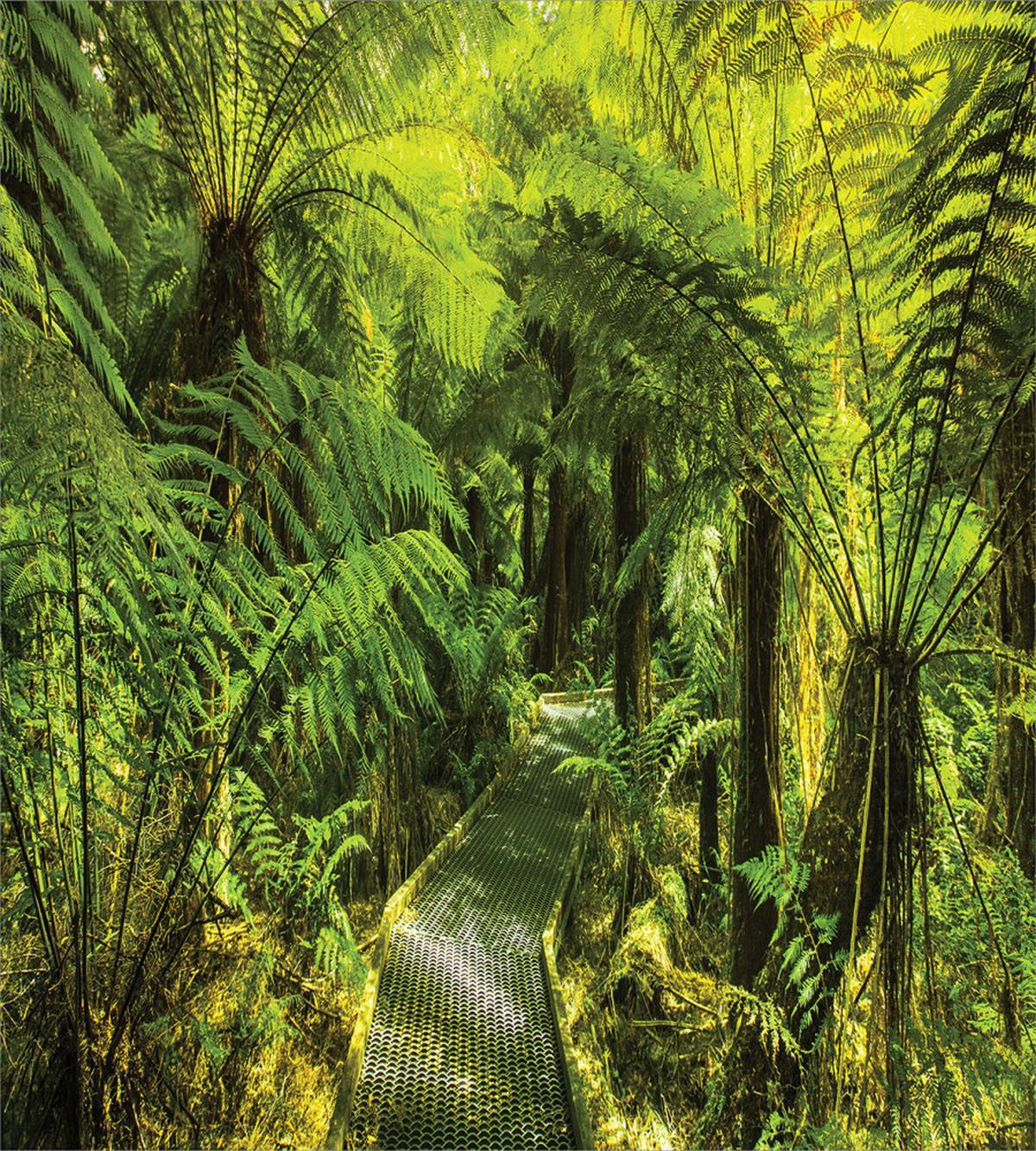 Traveling Nature — Pattern