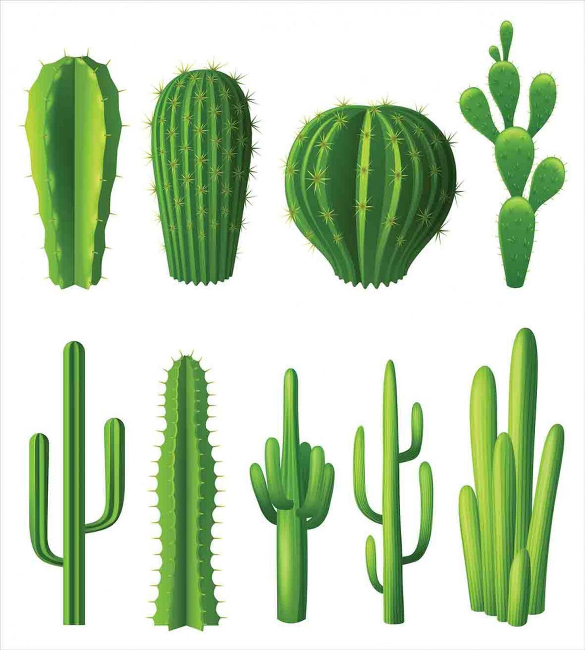 Hot Mexican Desert — Pattern