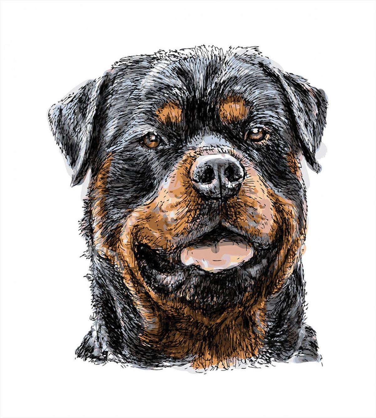 Hand Drawn Image of Dog — Pattern