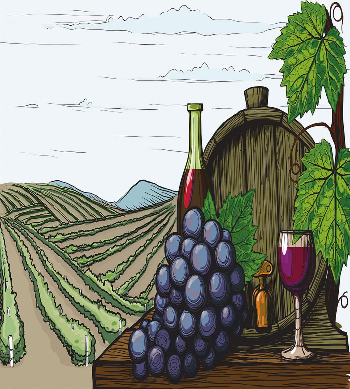 Views of Vineyards Grapes — Pattern