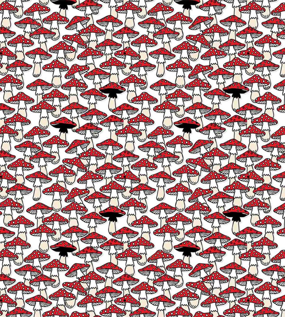 Toadstool Mushroom — Pattern
