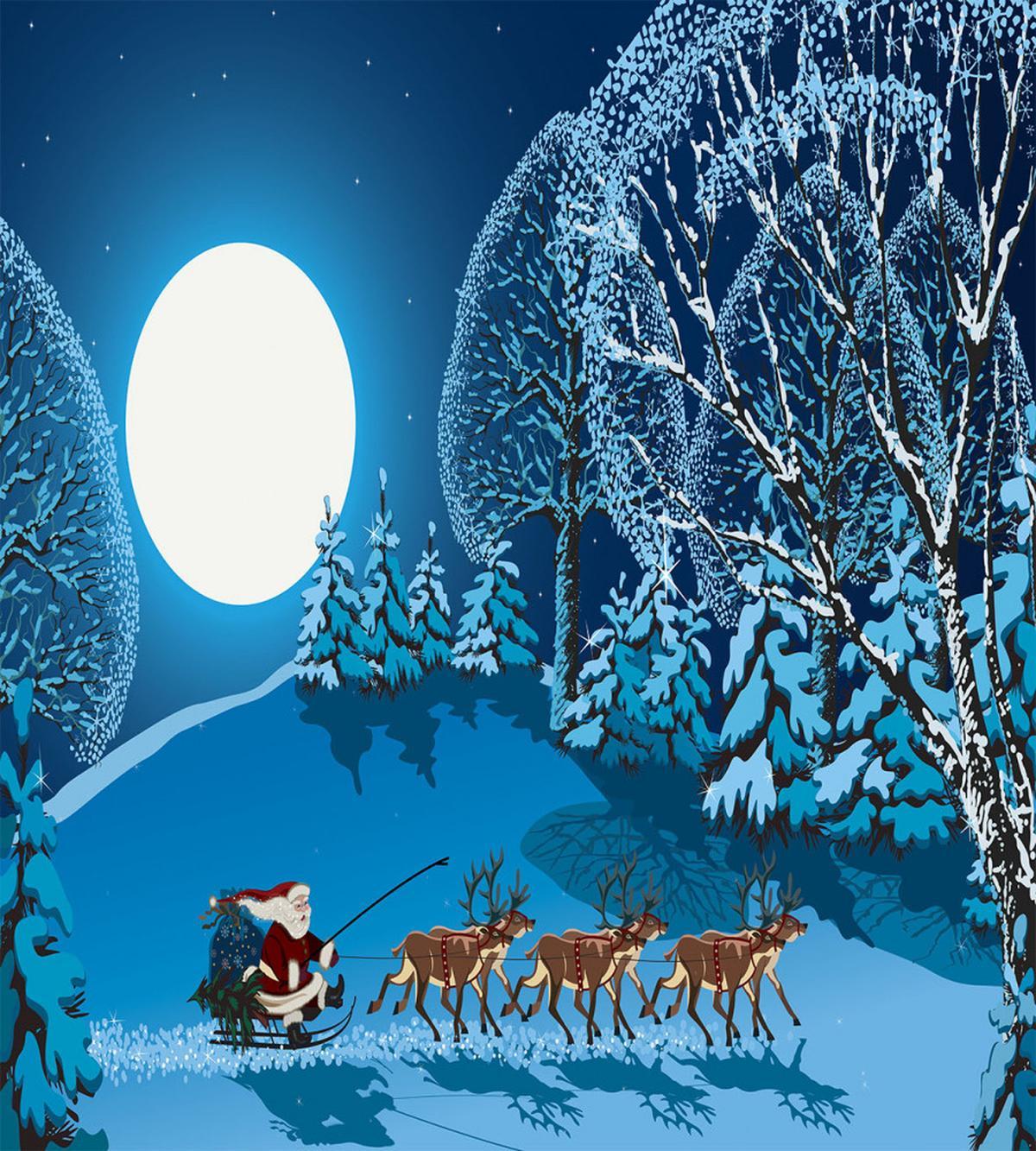 Santa Winter Forest — Pattern