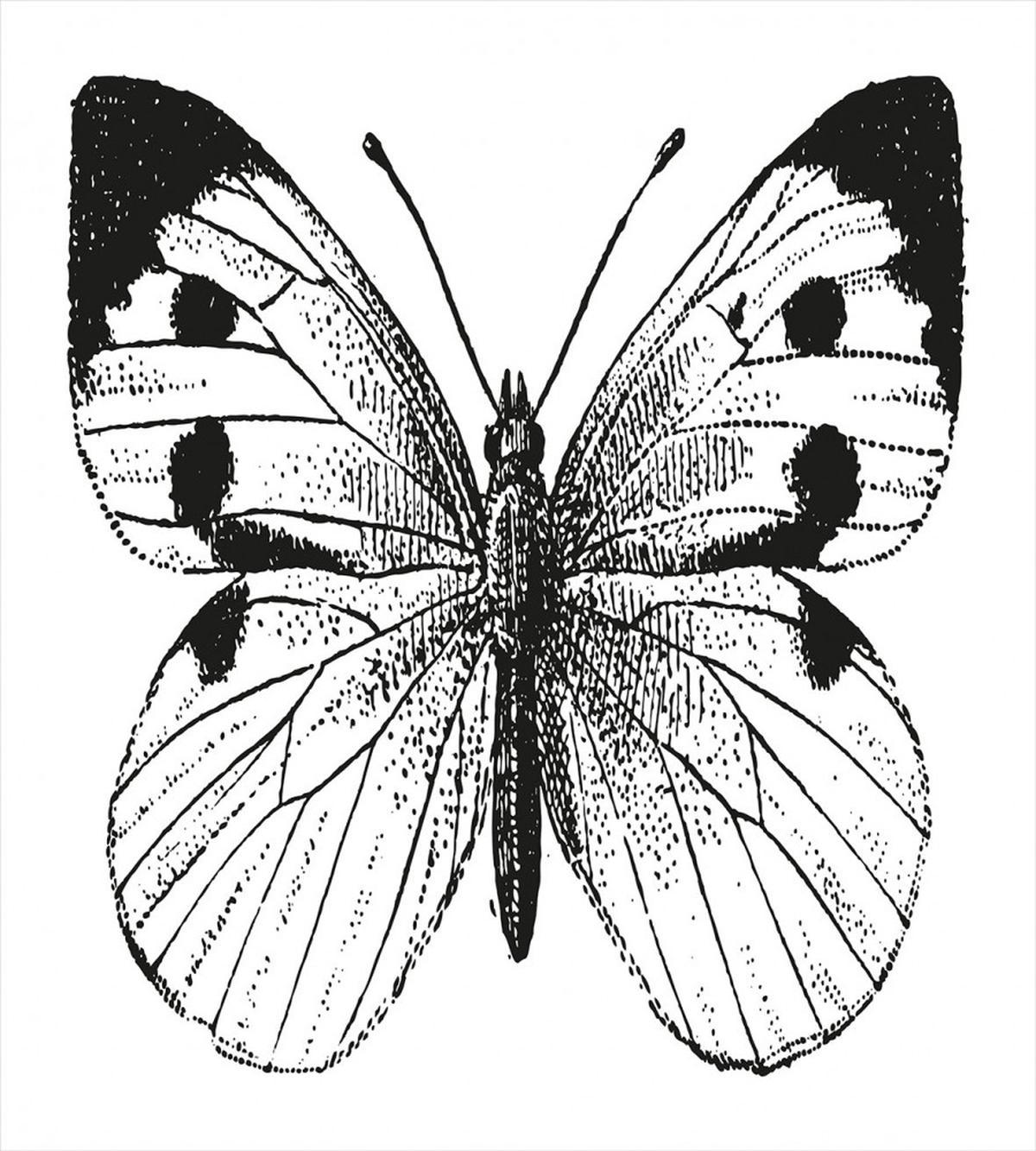 Bug of the Spring Season — Pattern