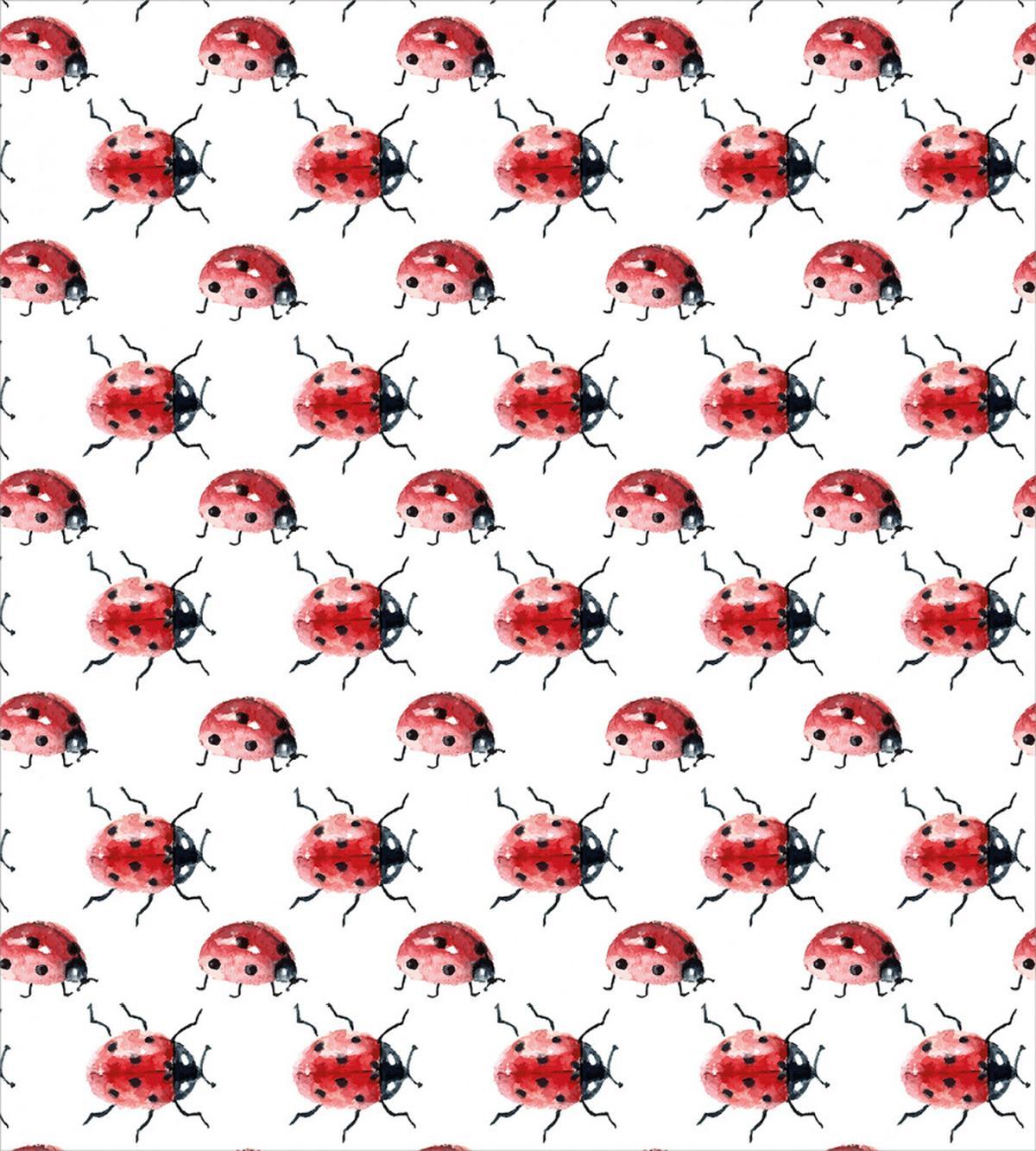 Lady Bug Insect — Pattern