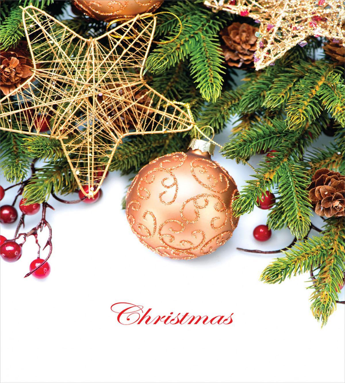 Holly Berries Star — Pattern
