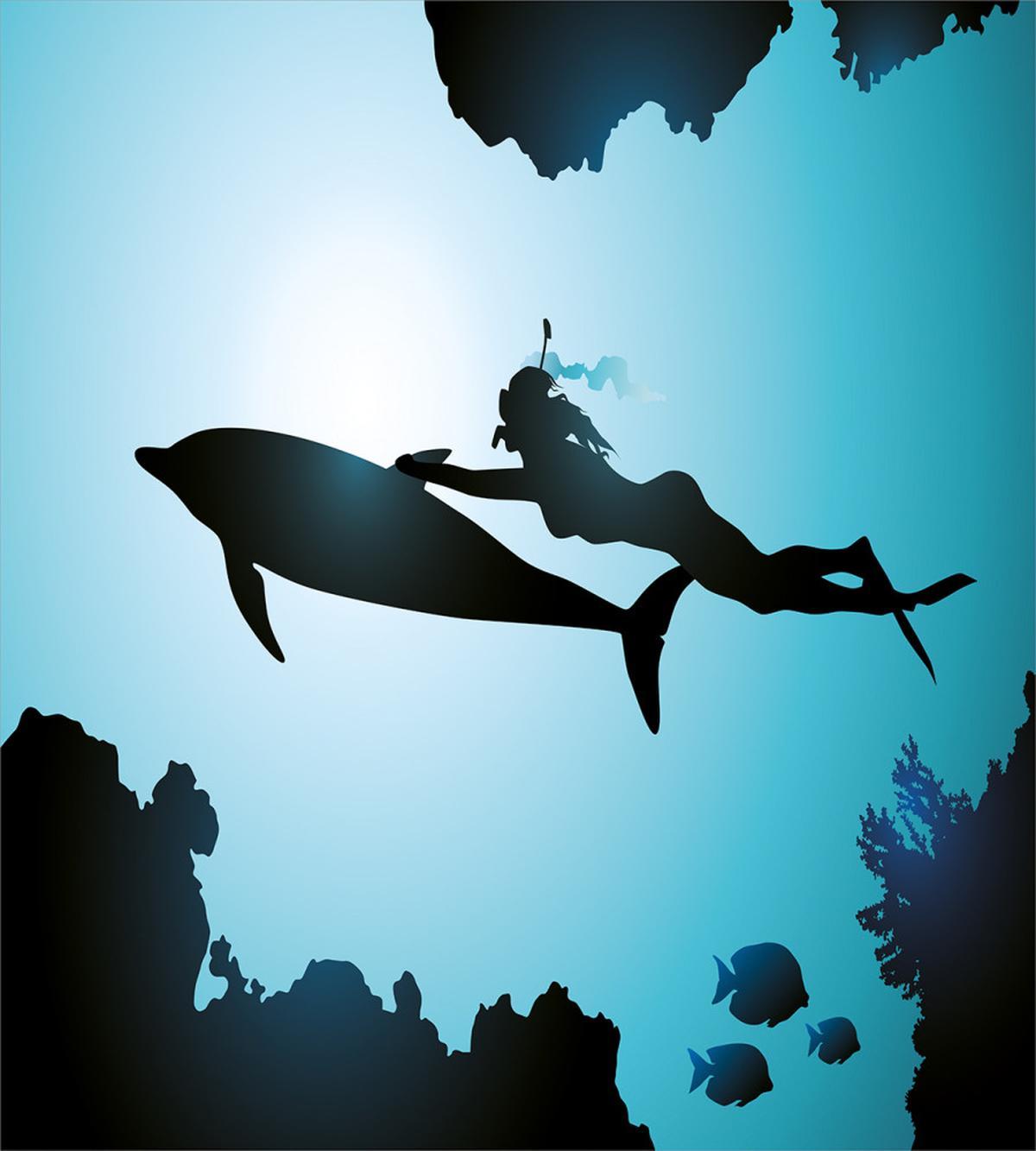Diver Girl with Dolphin — Pattern