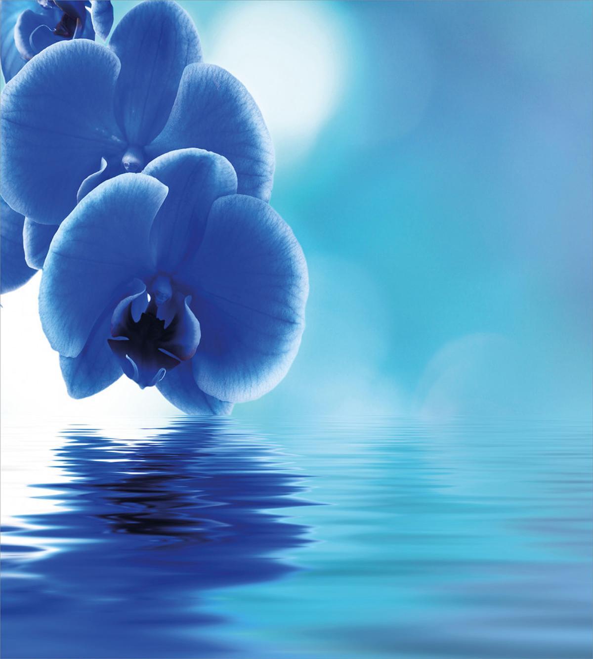 Orchid Floral Design — Pattern