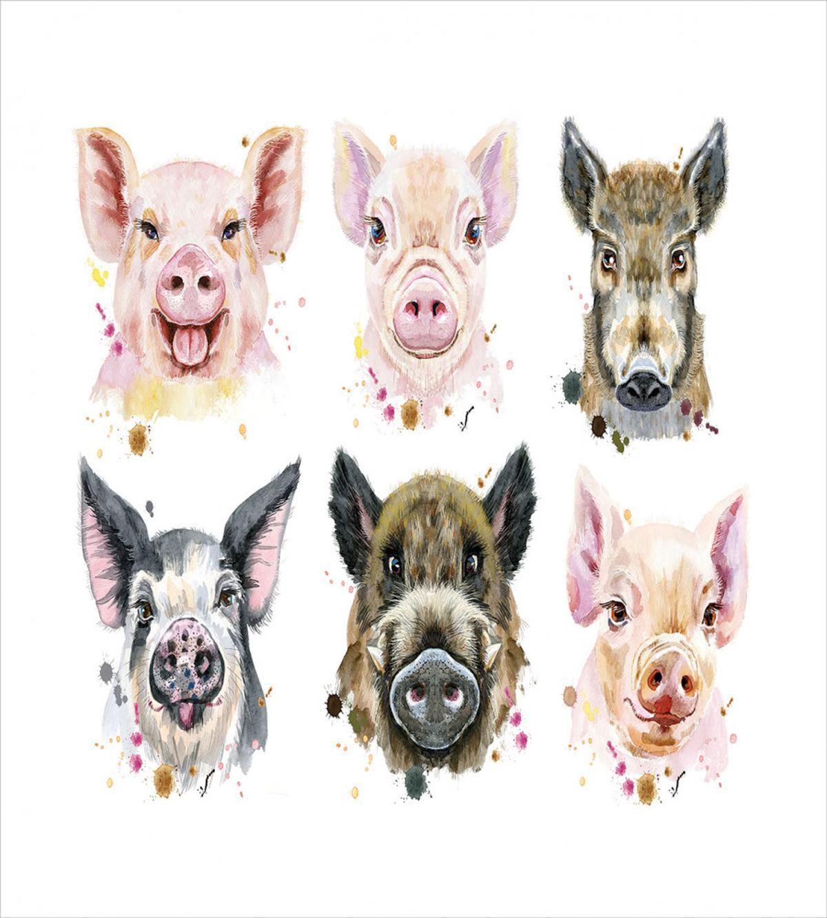 Breeds of Pig — Pattern