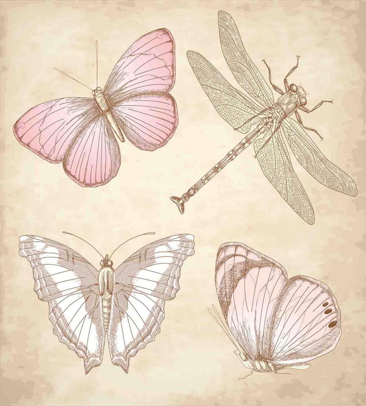 Retro Butterflies Bugs — Pattern
