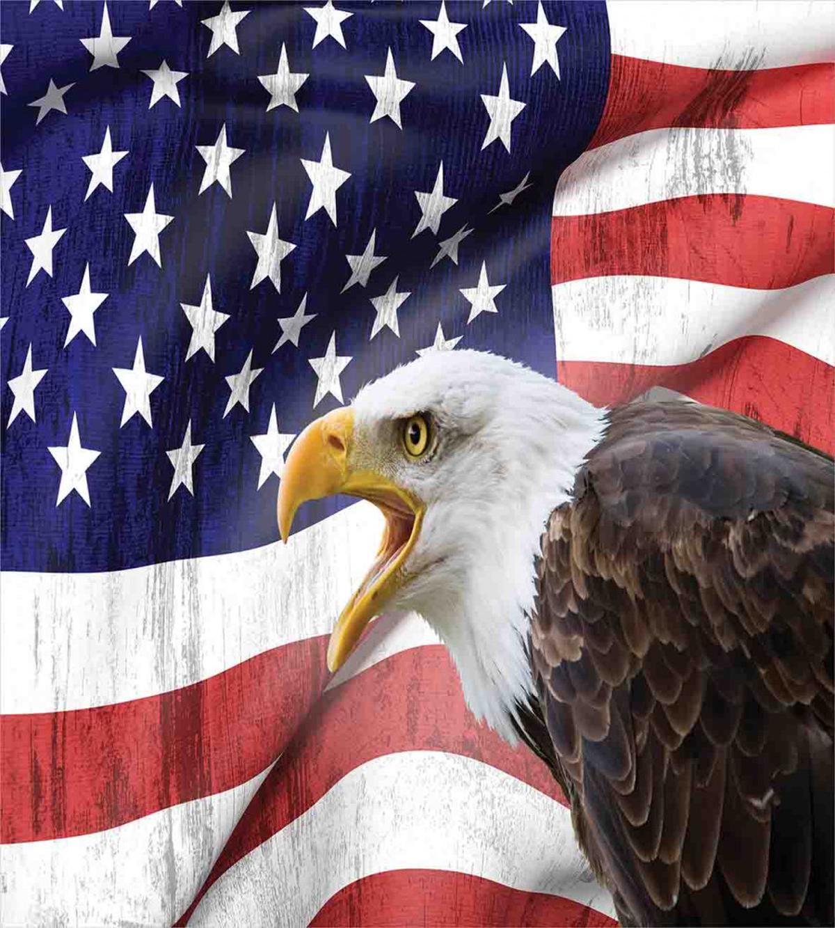 Bald Eagle — Pattern