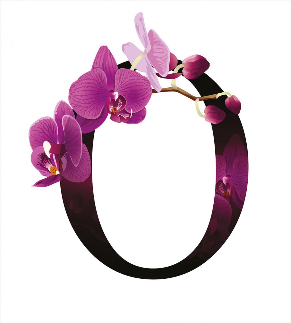 O Alphabet and Orchid — Pattern