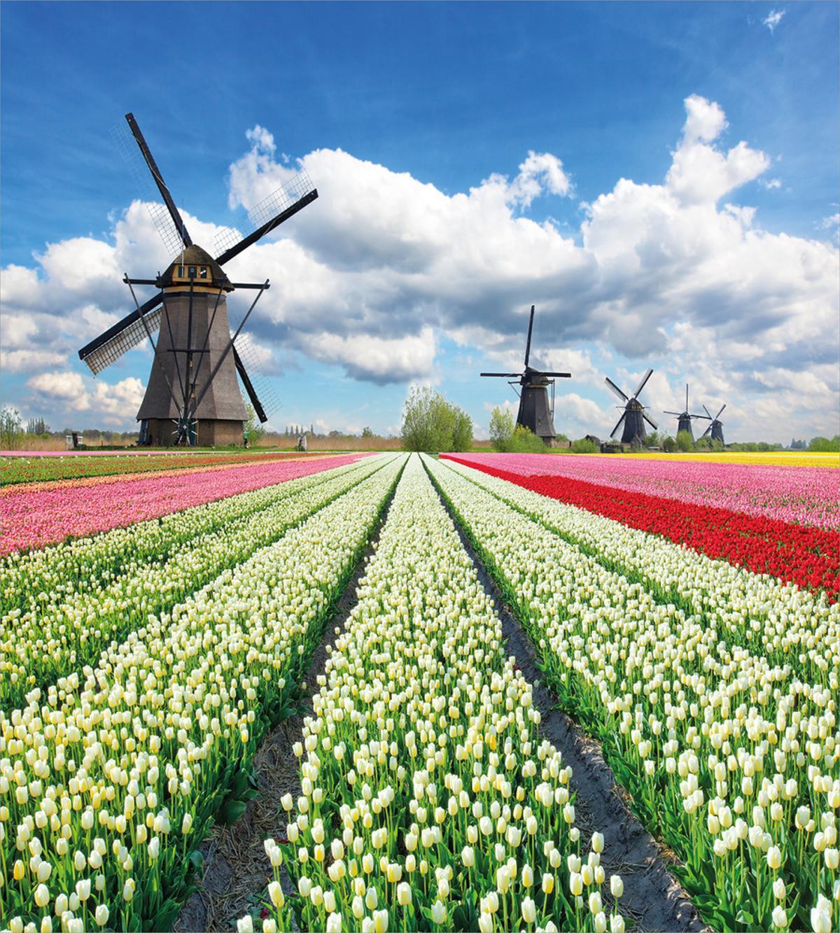 Vivid Farmland Scenic — Pattern