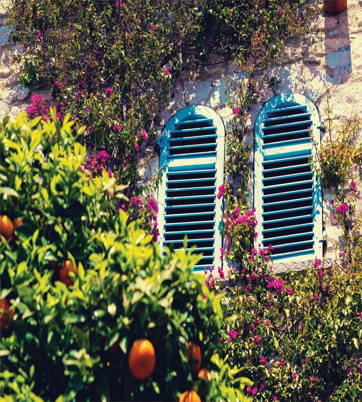 Old European House Mandarin — Pattern