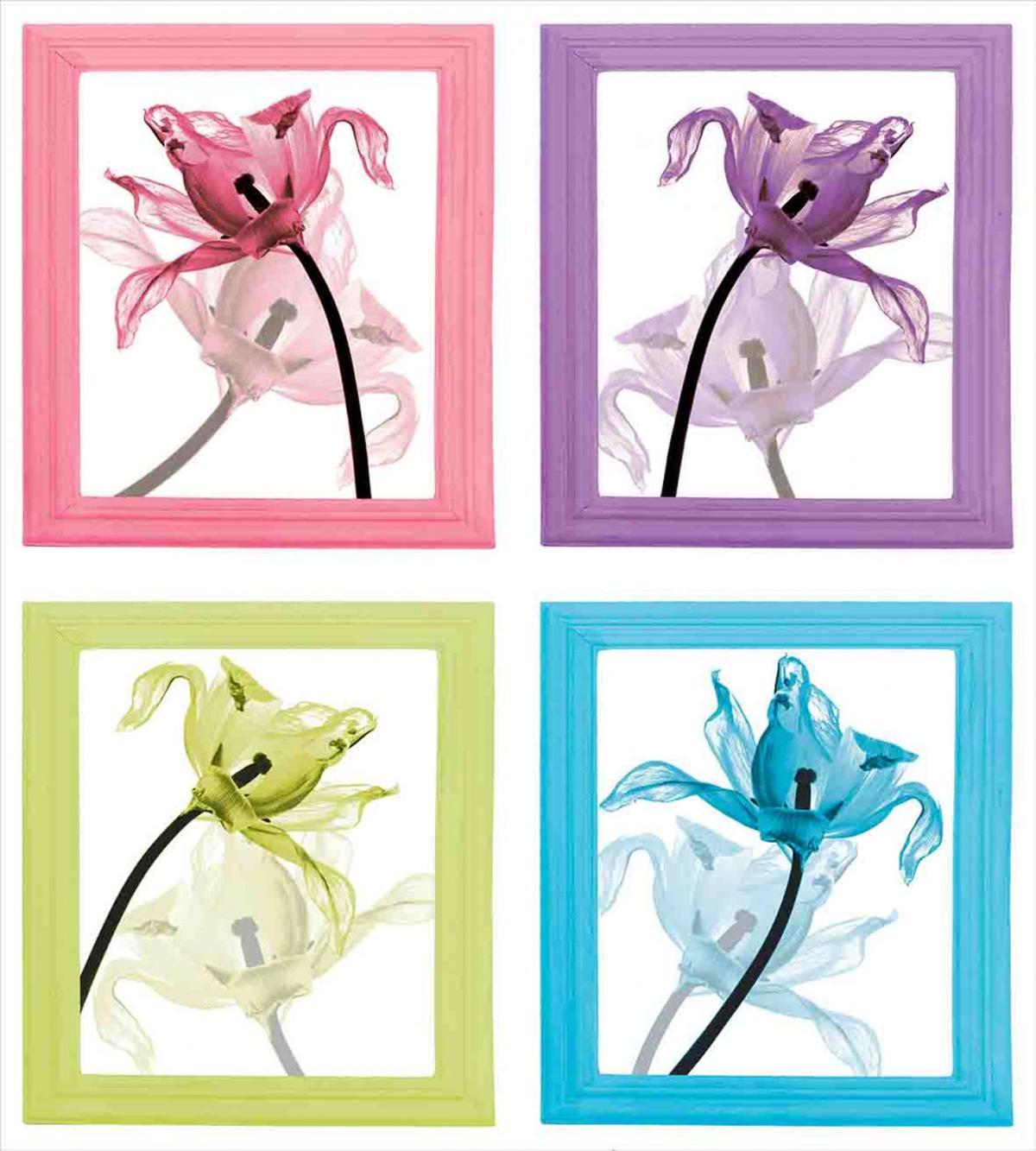 Flowers in Frames — Pattern