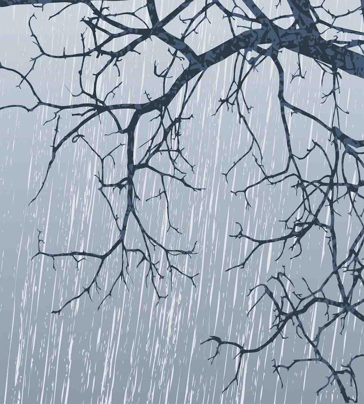 Rainy Day Winter Branches — Pattern