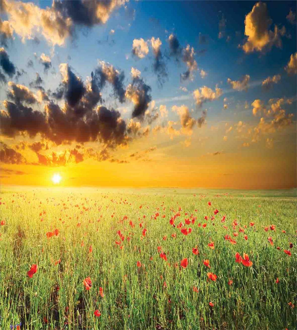 Sunset at Meadow Poppy — Pattern