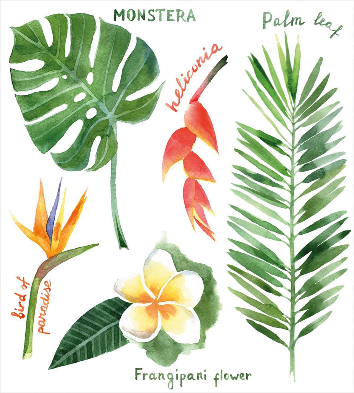 Tropical Flora — Pattern