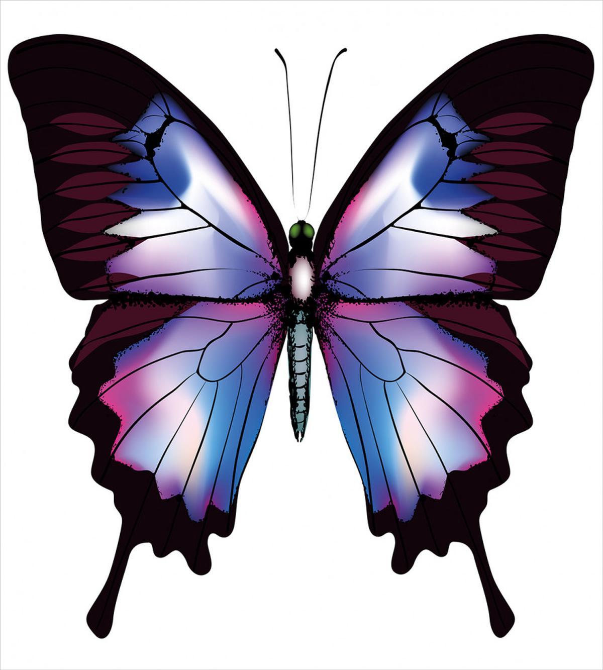 Vivid Insect — Pattern