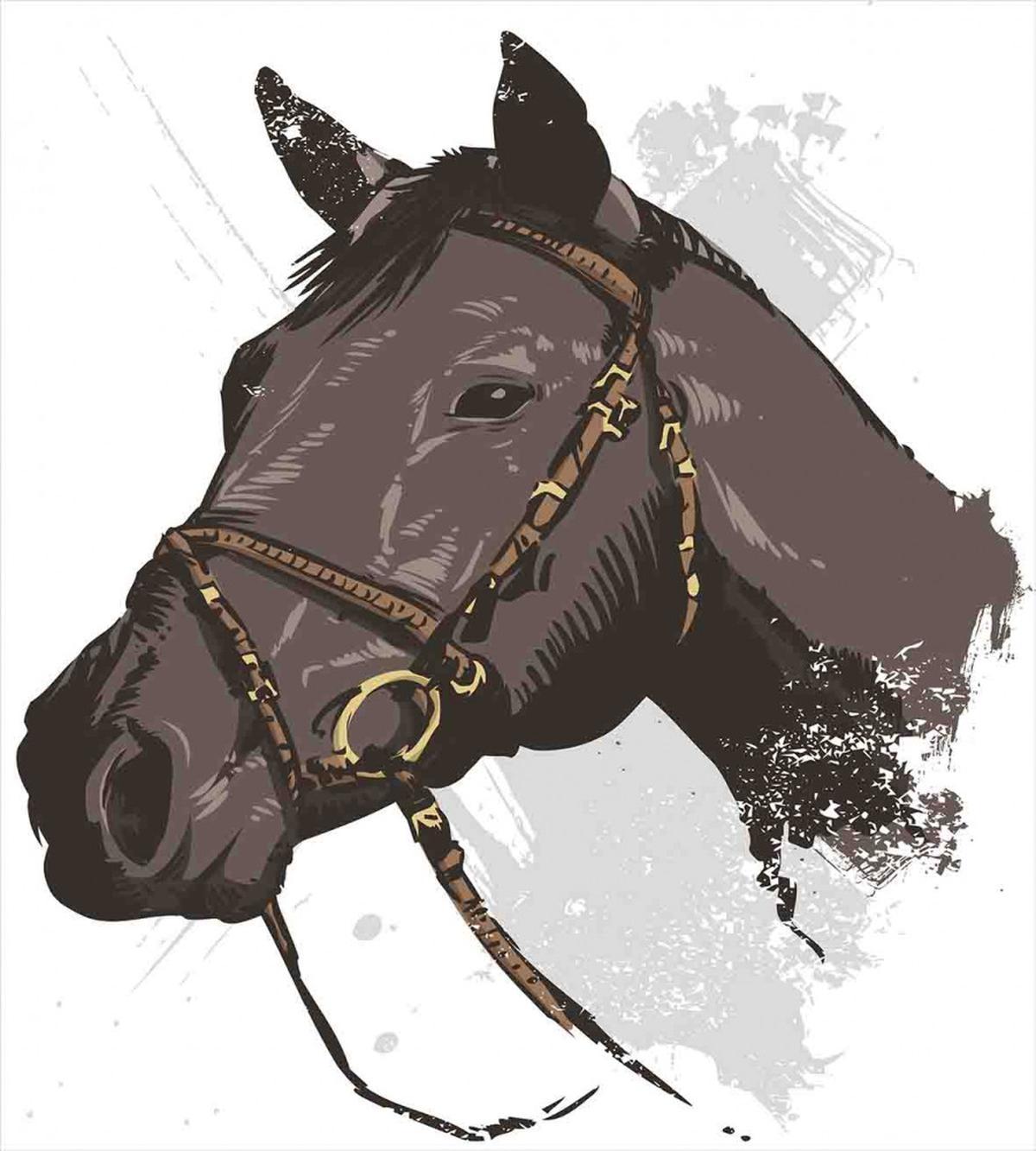 Wild Horse Portrait — Pattern