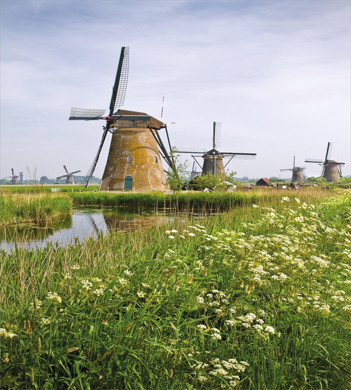 Spring in the Country — Pattern