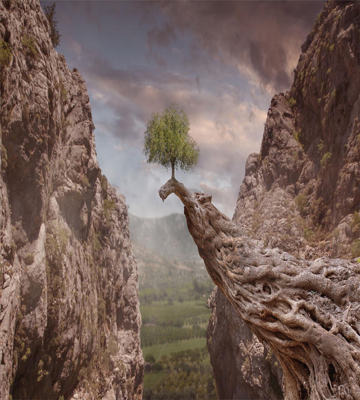Mystic Mountains Tree — Pattern