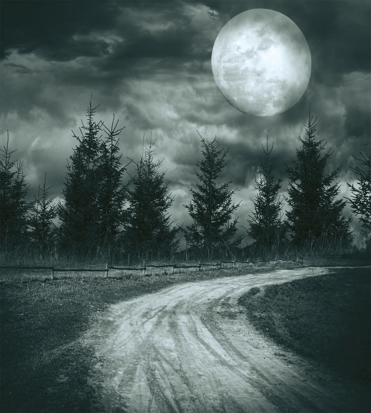 Moonrise Scenery — Pattern