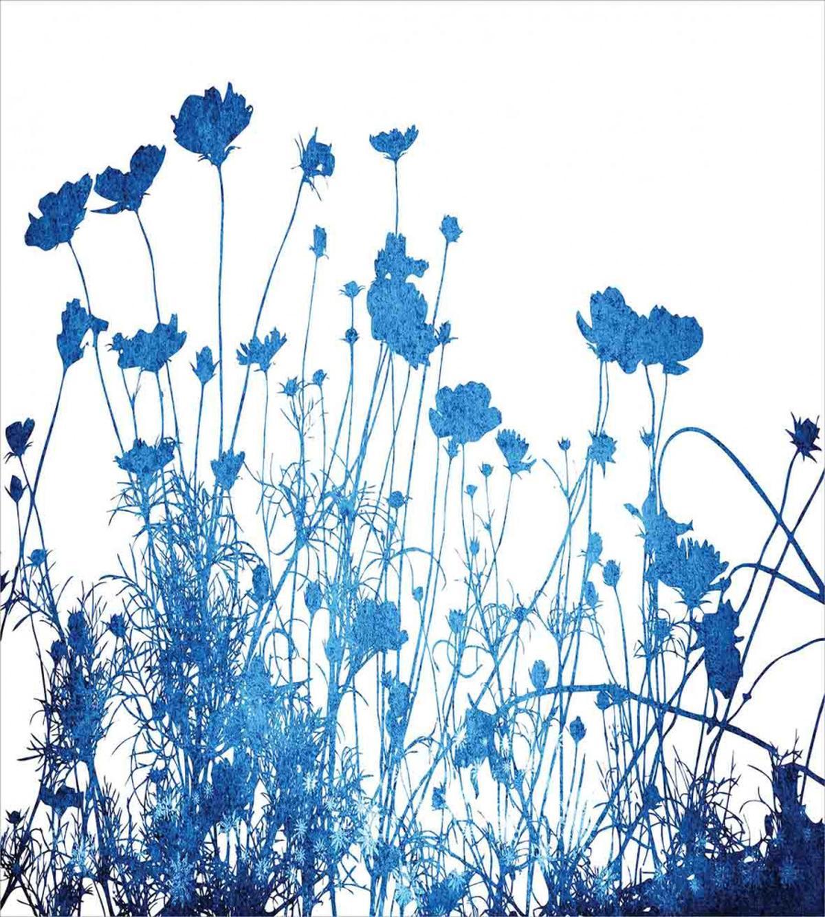 Wildflowers Blooms — Pattern