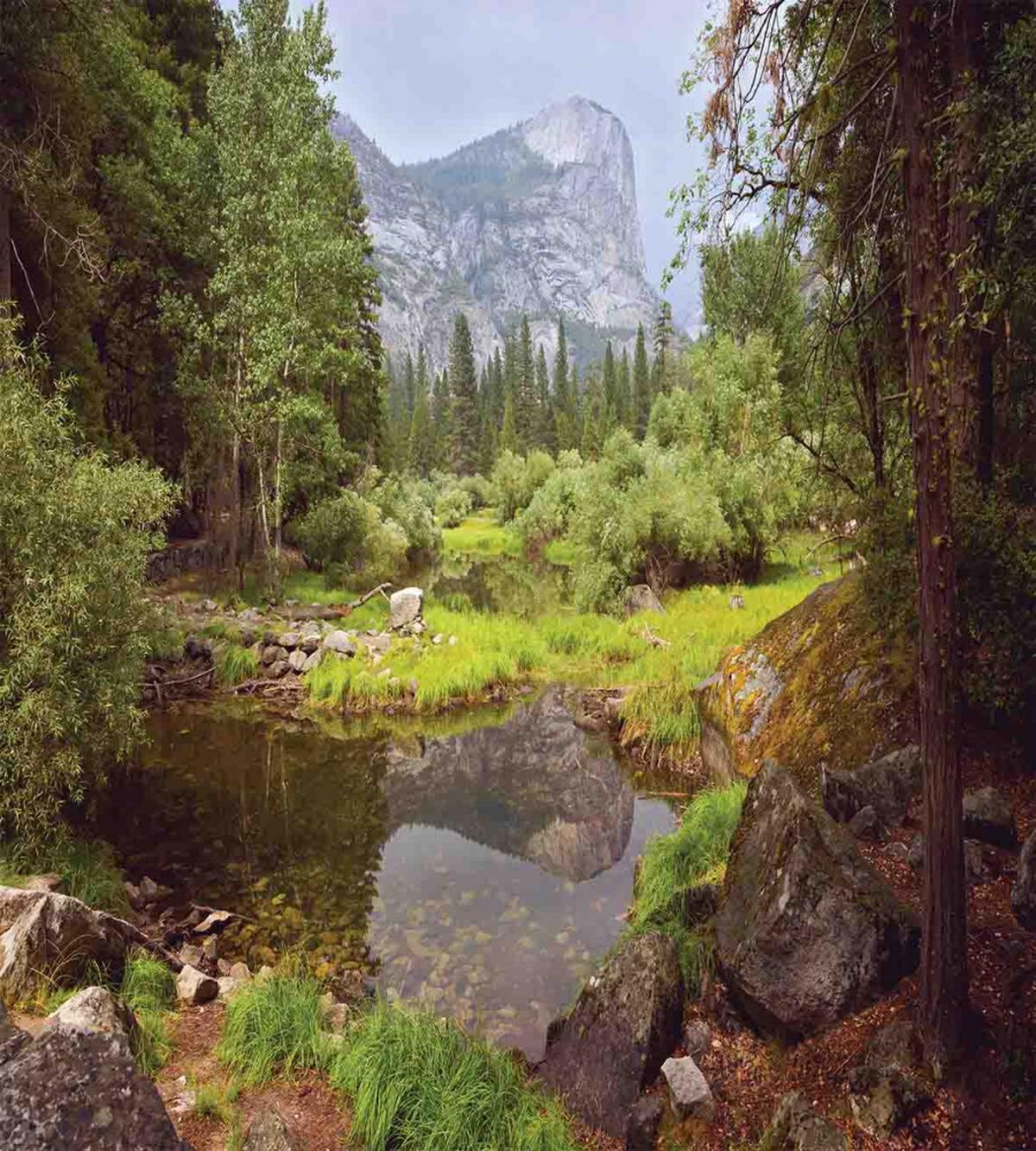Spring Forest Mountain — Pattern