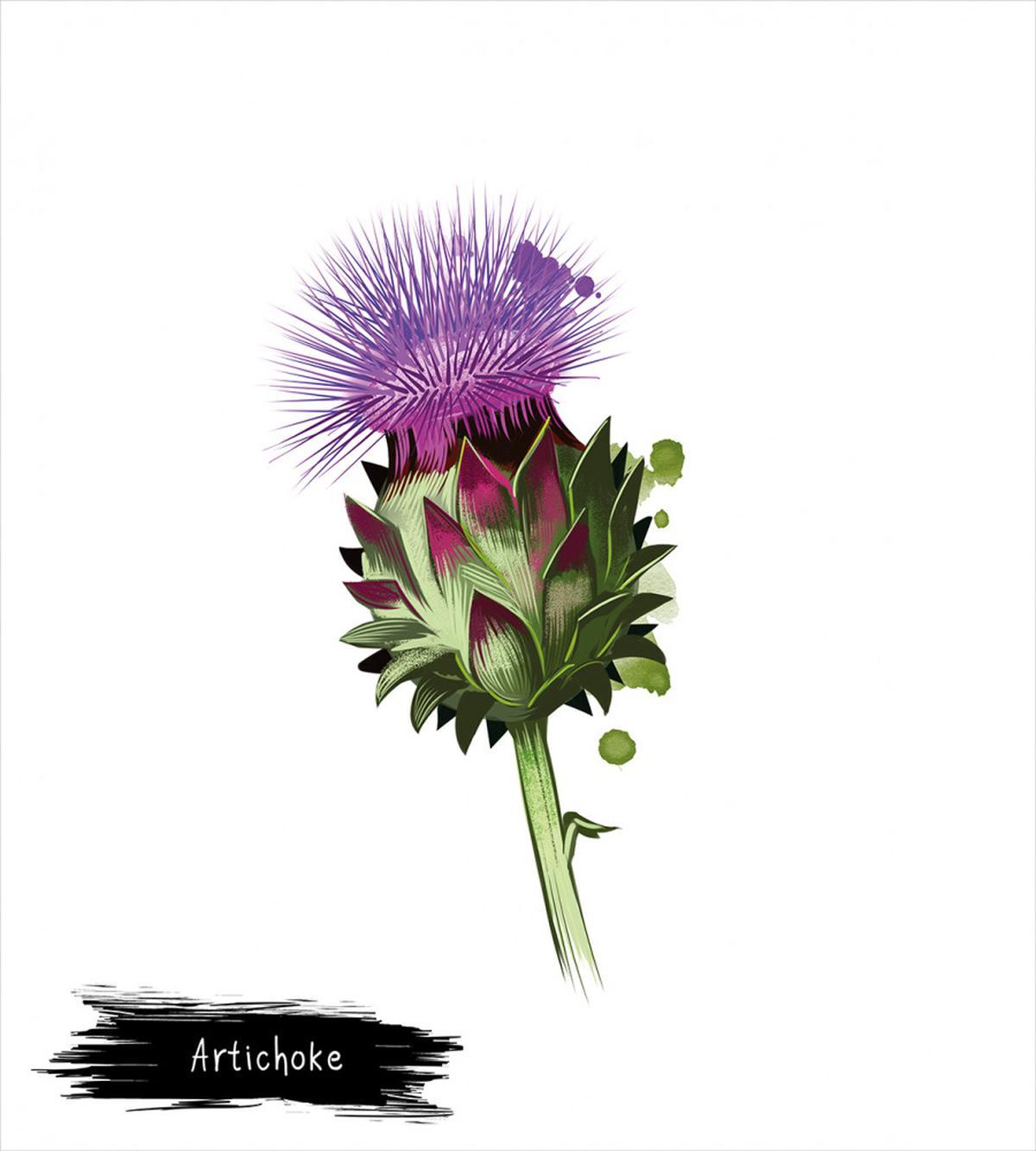 Blooming Botanic Food — Pattern