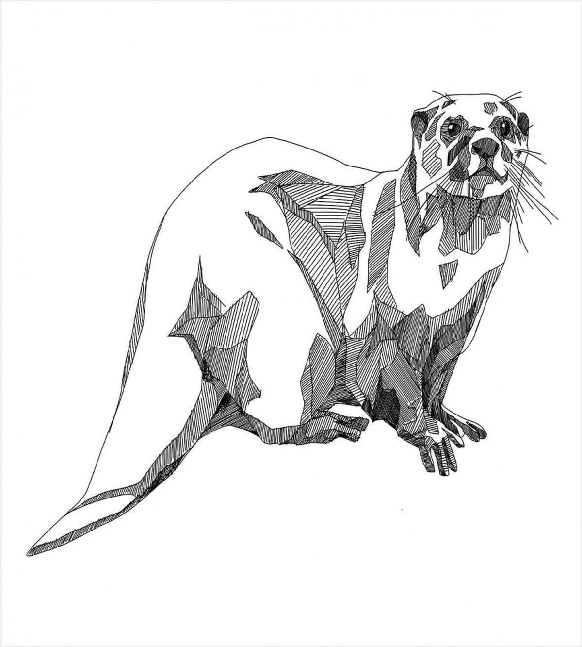 Sketch Otter — Pattern