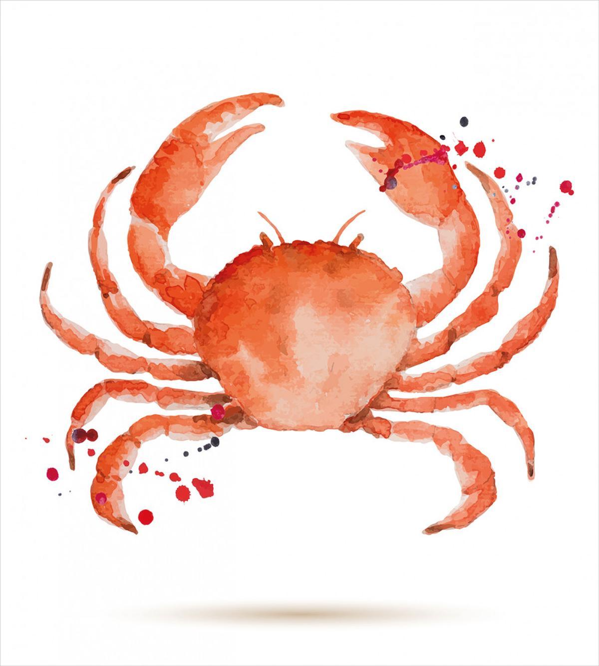 Sea Animals Theme Crabs — Pattern
