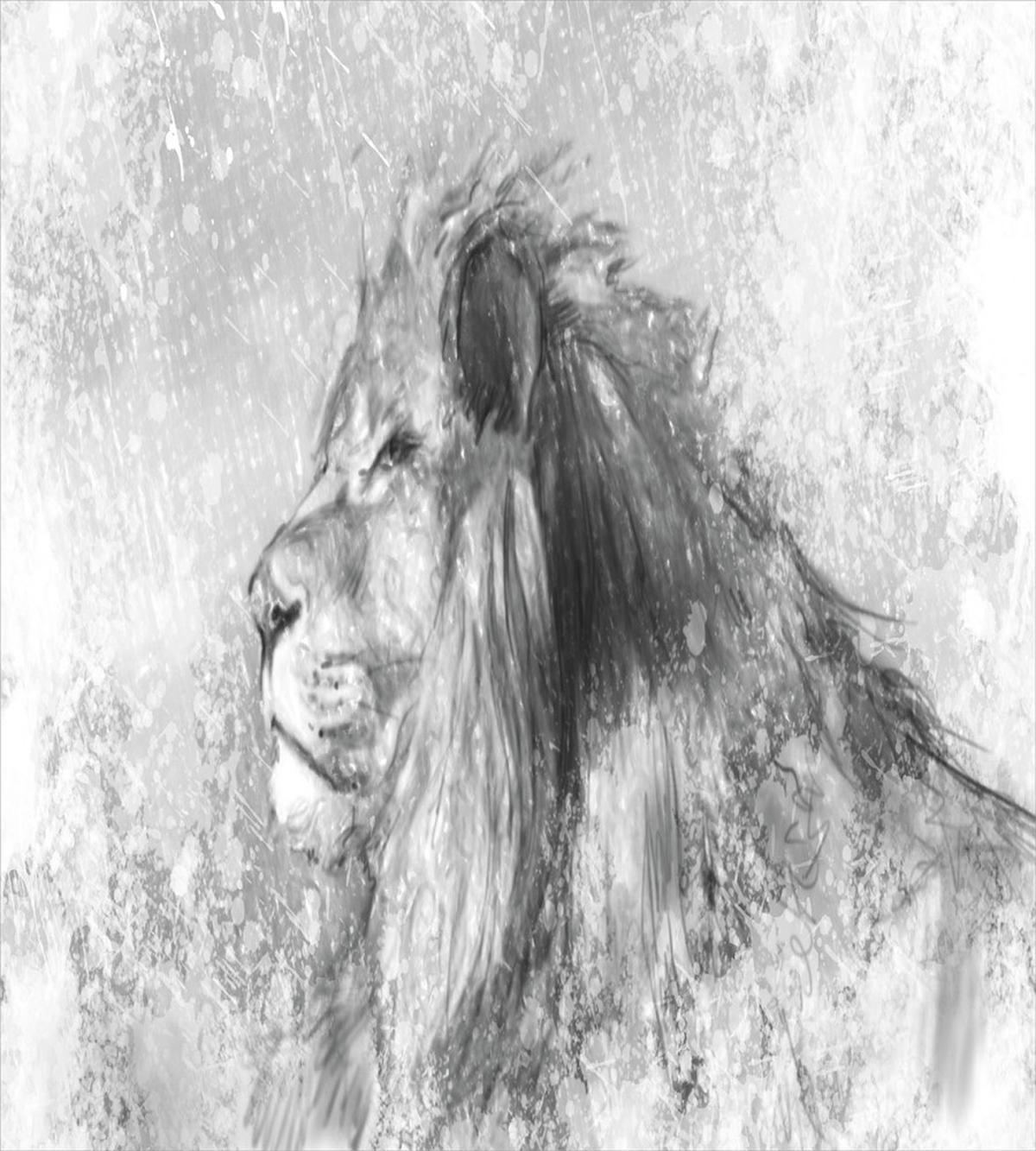 Sketch Safari Lion — Pattern