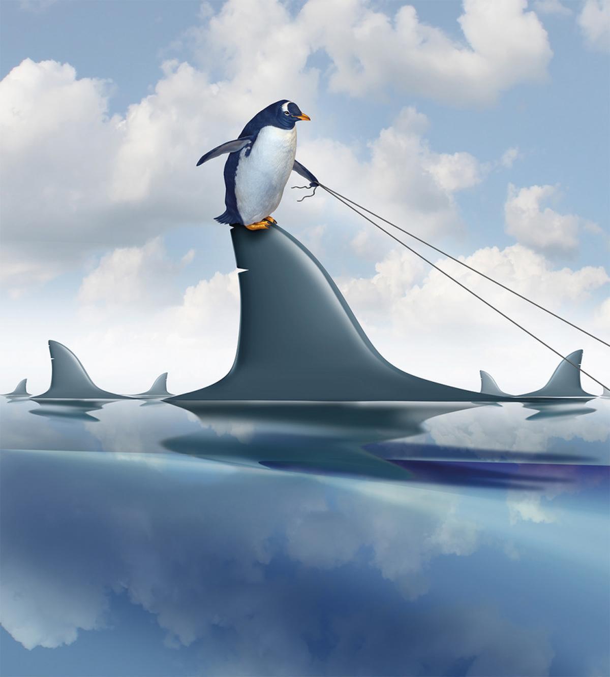 Penguin Holding Wild Fish — Pattern