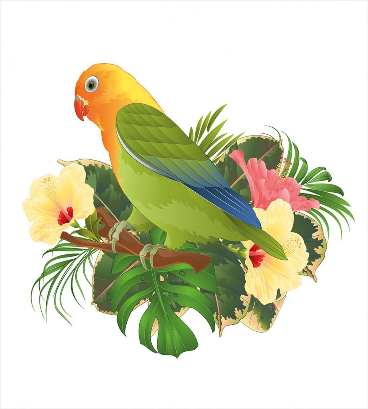 Exotic Agapornis Parrot — Pattern