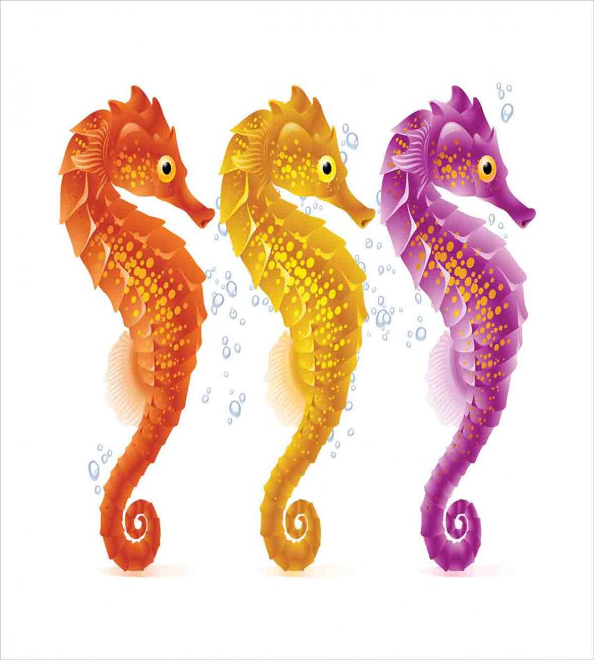 Seahorse Marine Tones — Pattern